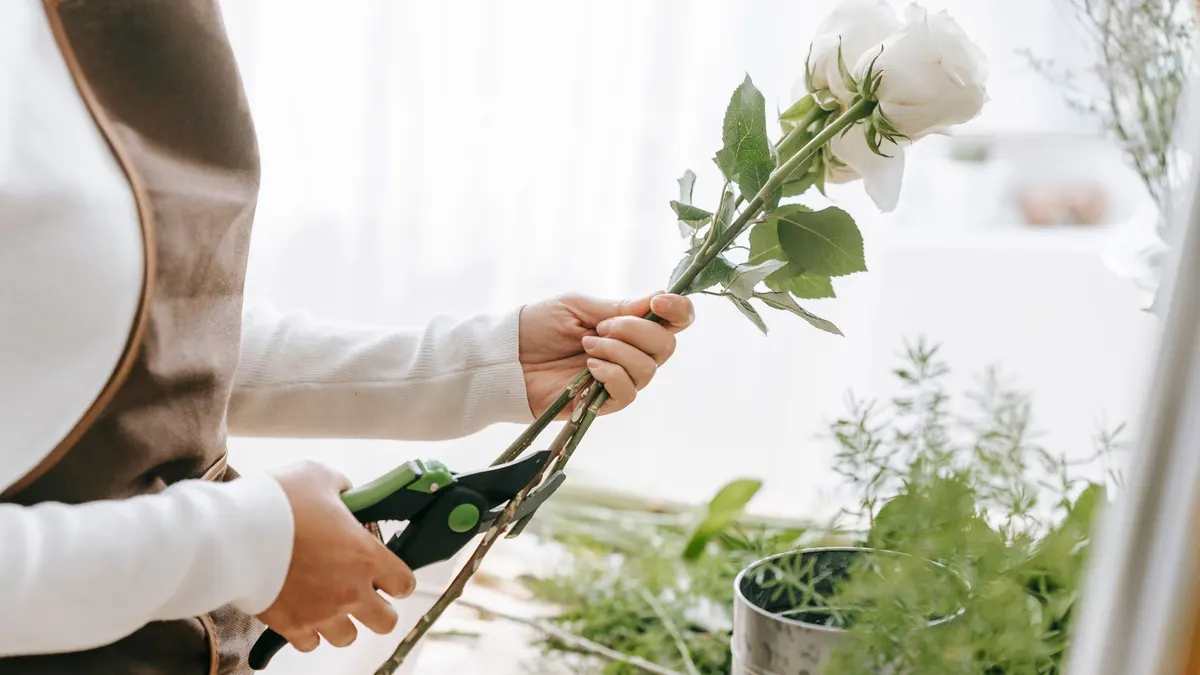 Quand et comment tailler les rosiers pour plus de fleurs