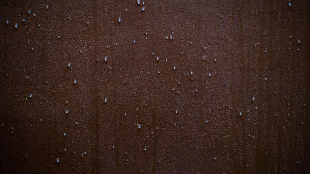 Humidité et salpêtre sur les murs : causes et traitements